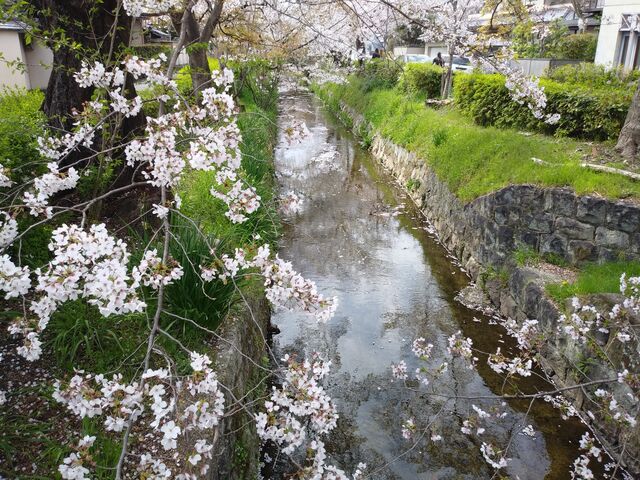 �����̉B�ꂽ���Ԍ��X�|�b�g�B_���i�Α`���̍�