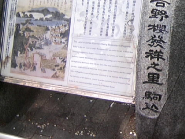 n敶nّOigLOjݒủ_n敶n