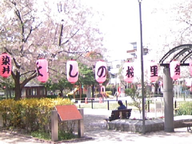 ����_���O�H�Ƒ�