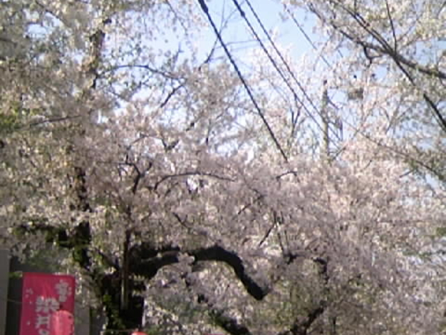 ���������悵�̍��̗��Ɍ��������̂��������_���O�H�Ƒ�