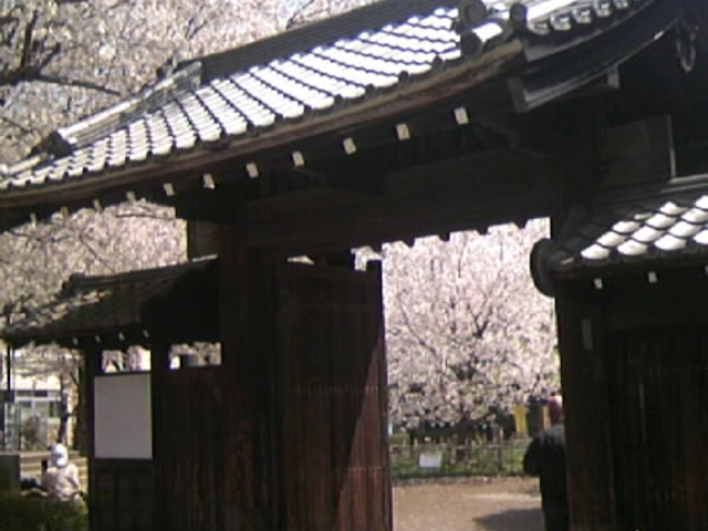 ��Ƒ��̂���L�ꓡ���Ɖ����~�̖�_���O�H�Ƒ�