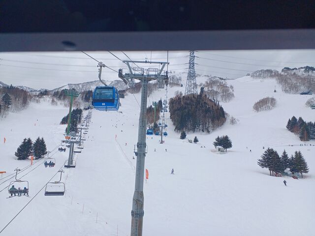 �S���h���̏��S�n�́@�ƂĂ��ǂ��@�J���I�Ōi�F���y���߂܂���_�c��X�L�[��