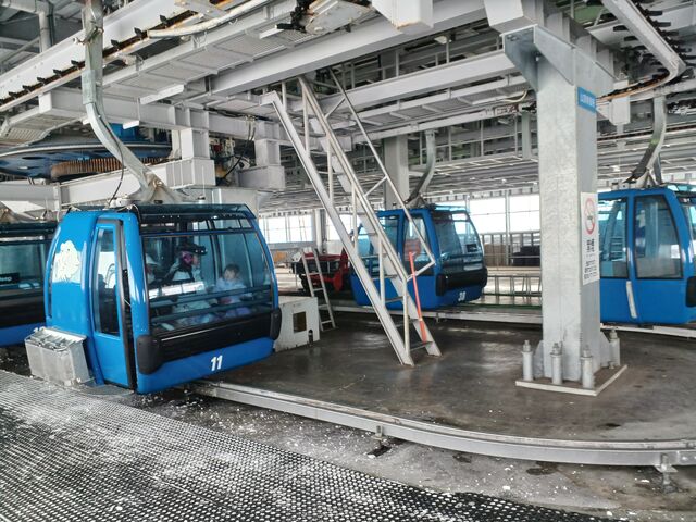 �}�����J���[�̃S���h���ɁA�z���C�g���C�I�����f���܂�_�c��X�L�[��