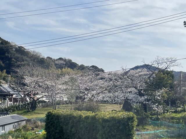 ���b�V�[����̊ێR�����^������̓��e�ʐ^1