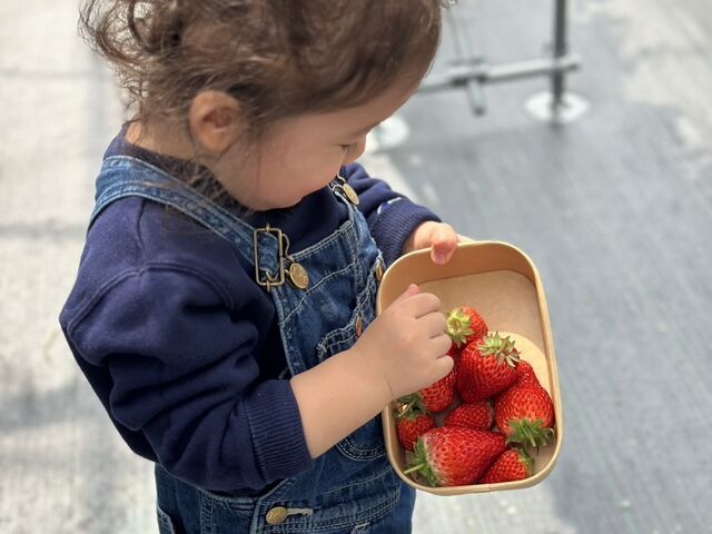 �C�`�S��D���I���n��1�p�b�N���H���܂����B����ׂ�1�Ύ�
�C�`�S�B���đ勻���ł�����_Green Room