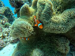 ͂邳̃}Nu Gigiւ̓eʐ^1