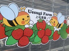 ����������̏㐙�_���ւ̓��e�ʐ^1