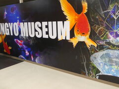 ޗǋ~[WA(NARA KINGYO MUSEUM)̎ʐ^1