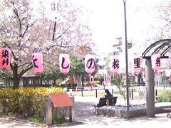 �T���v������̋��O�H�Ƒ��ւ̓��e�ʐ^1