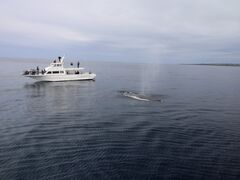 ՂՂ܂邳̉AChN[ւ̓eʐ^1