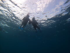 ̐Ί_ ADVENTURE PiPiւ̓eʐ^1