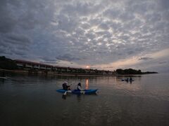 䂢̐Ί_ ADVENTURE PiPiւ̓eʐ^1