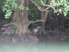 킽OHCUSΊ_ւ̓eʐ^1