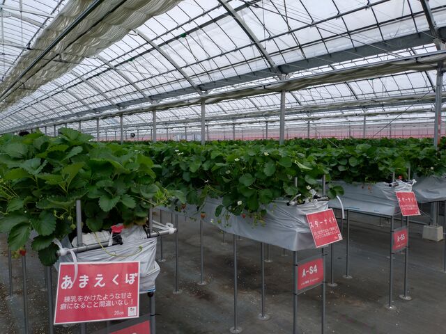 ��ނ��L�x�Ŗ����I_�������_�������ǁE�ׂ�[