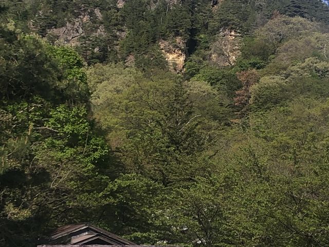 �s�ρI_���n���R���