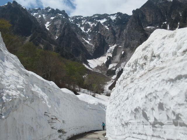 �Ԃł͍s�����A�P���ԕ����Č�����A�������̌i�F�ł�_��m�q��