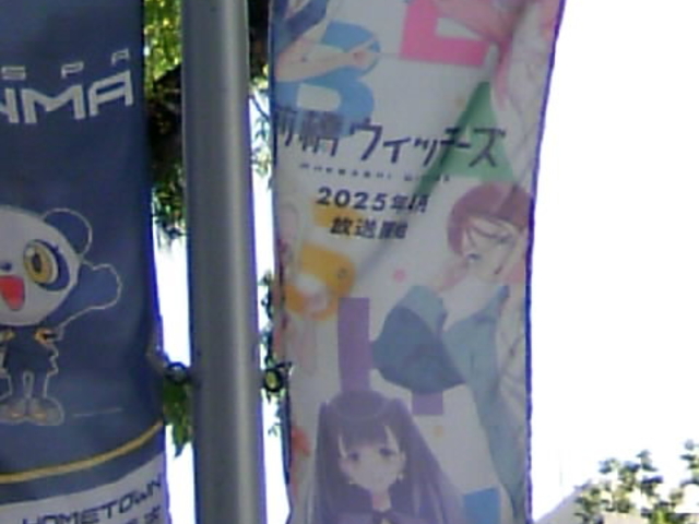 �X���̃t���b�O_�O���w�ό��ē���