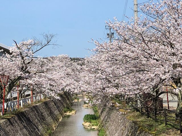 okǔF͔Ȃ̍؂̓eʐ^1