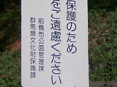 Tv̍ĒzOyېՂւ̓eʐ^1