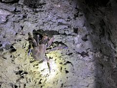 ɂ̐Ί_ ADVENTURE PiPiւ̓eʐ^1