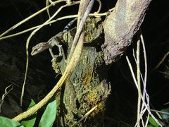 ̂Ԃ777̂[[Ԃւ̓eʐ^1