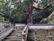 �}�V���V��������̖����@�̑吙�̓��e�ʐ^1