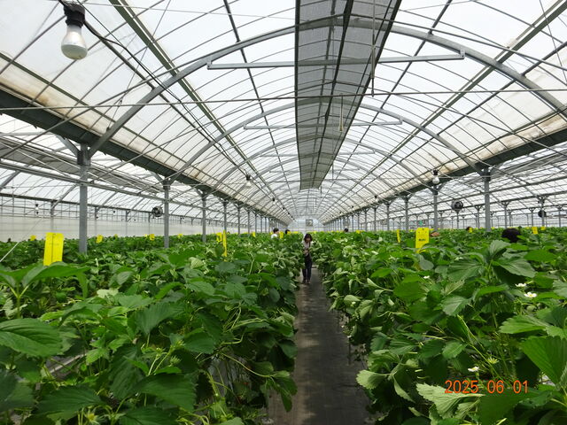 �ʘH�͋����ł��B����Ⴂ�s�ł��ˁB_�X�c��������