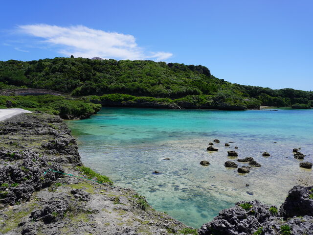 ���̎�O��������ɂ�����܂�Ƃ����G�������h�O���[���̔���̊C_�C���M���[�}�����K�[�f��