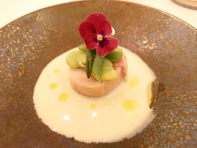 �L���s����@���`�F�b�^�~���K�����X�g�����e_���`�F�b�^�~���K�����X�g�����e�C�^���A��