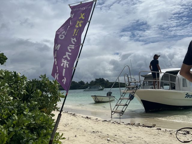 ��������̃{�[�g������܂����A���F�̊����ڈ�Ƌ����Ă���܂���_�C�M�}����