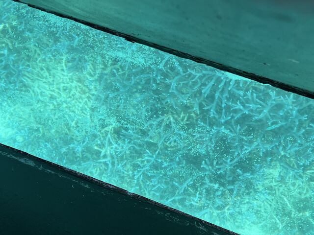 ���X���_�C�M�}����