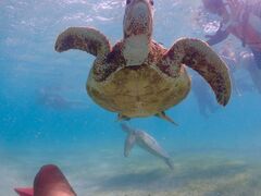 񂳂OKIDOKI}cA[{Óւ̓eʐ^1