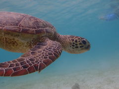 MADIOKIDOKI}cA[{Óւ̓eʐ^1