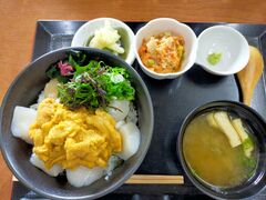ڂ̃hCuCւ̓eʐ^1