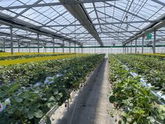 Ȃ҂̃PP̓mւ̓eʐ^1