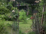 Tv̎ssFVK[fM[̓eʐ^4