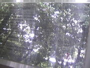 Tv̎ssFVK[fM[̓eʐ^5