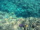 肳̃_CrOVbvTI.OCEANւ̓eʐ^2