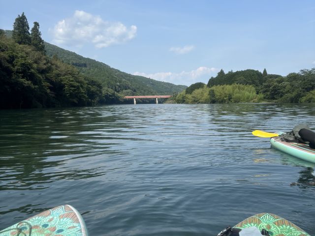 ������肨�َq�p�[�e�B�[�I�I_�G�i�x�[�X