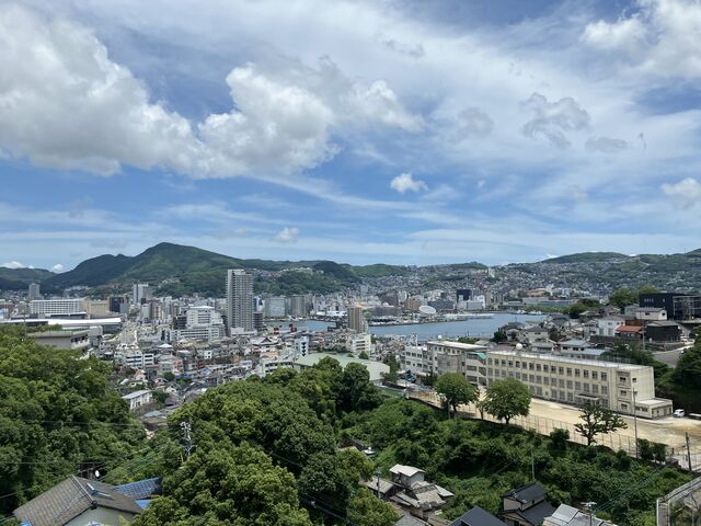 ����`_��R����z�e���A�}���f�B