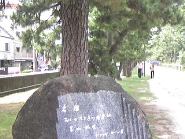 ���������V����������_���������V����