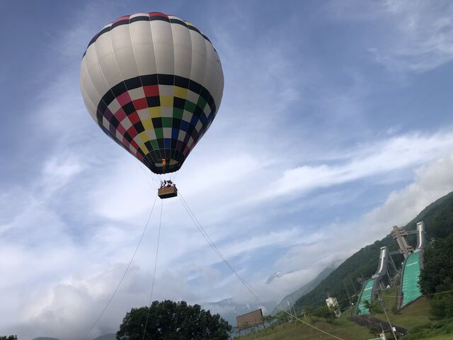 ���������|�ǂł����Ǒ��v�ł�����_���n���C�I���A�h�x���`���[