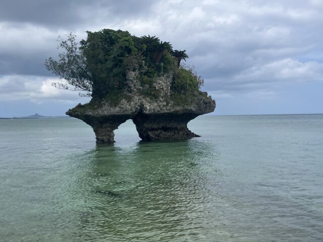 ̌银BĂ炦܂B_CLEARSUP JAPANy[}zh[Bfʐ^B!