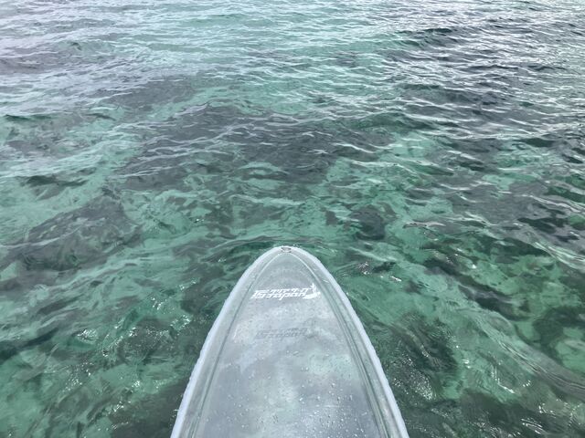 g₩łB_CLEARSUP JAPANy[}zh[Bfʐ^B!