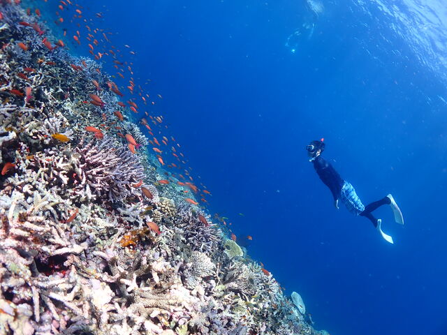 �X��_Onebreath Irabu