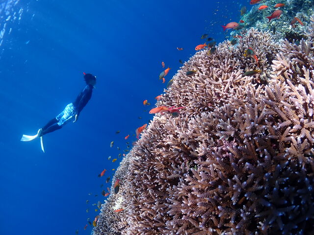 �X��_Onebreath Irabu