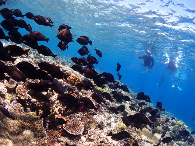 �X�聕����_Onebreath Irabu