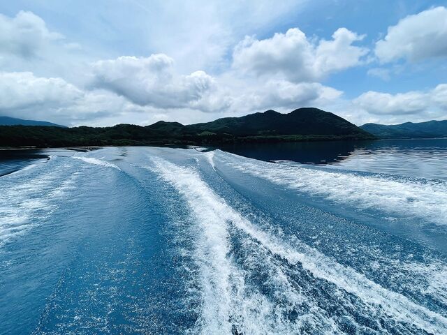 �����g�����\�X�S�C_�c��ΗV���D