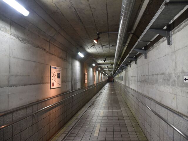 ���b�`���������G���x�[�^�[�܂ł̒ʘH�ł��B�Ă͐�ΓI�ɂ����߂ł��B_�{�����_���W�]��E�G���x�[�^�[