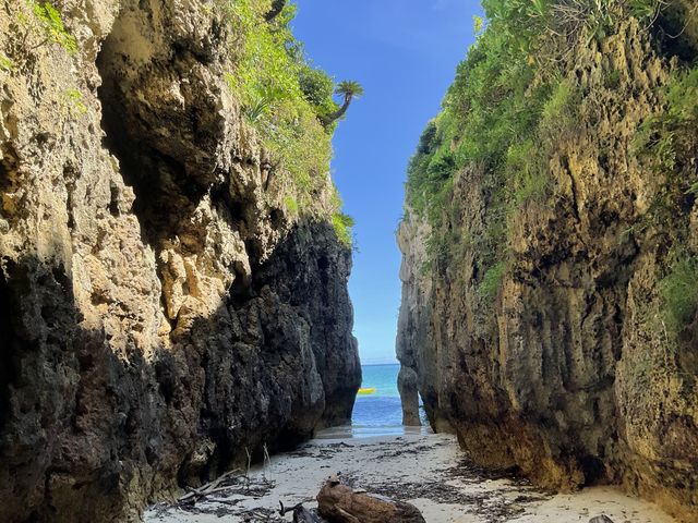 �㗤�����ꍇ_����}�����A�N�e�B�r�e�B�p�[�N������